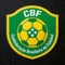 巴西国家足球队标志